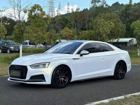奥迪A5 2019款 Coupe 40 TFSI 时尚型 国V