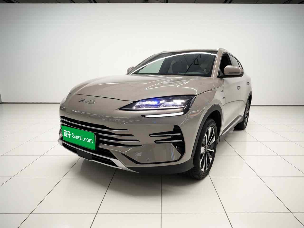 比亚迪 宋PLUS新能源 2025款 DM-i 112KM 尊贵型(2)