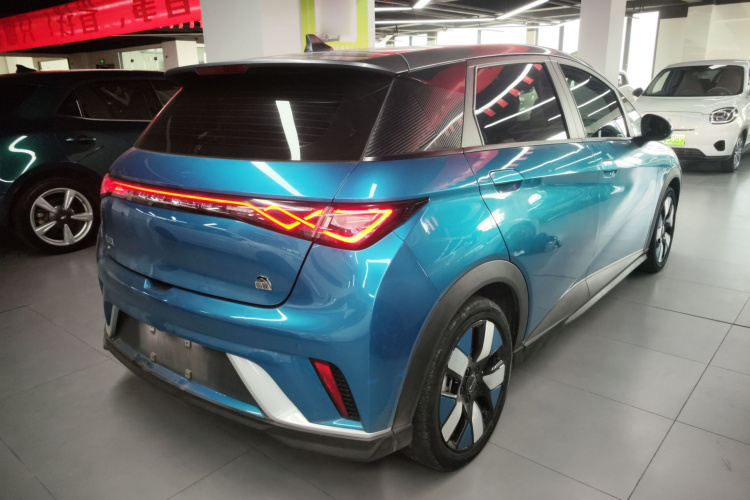 比亚迪 海豚 2021款 401km 骑士版车身外观7