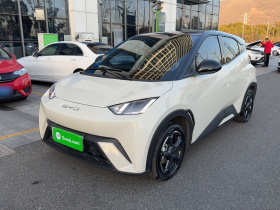 比亚迪 海鸥 2024款 荣耀版 305km 自由版