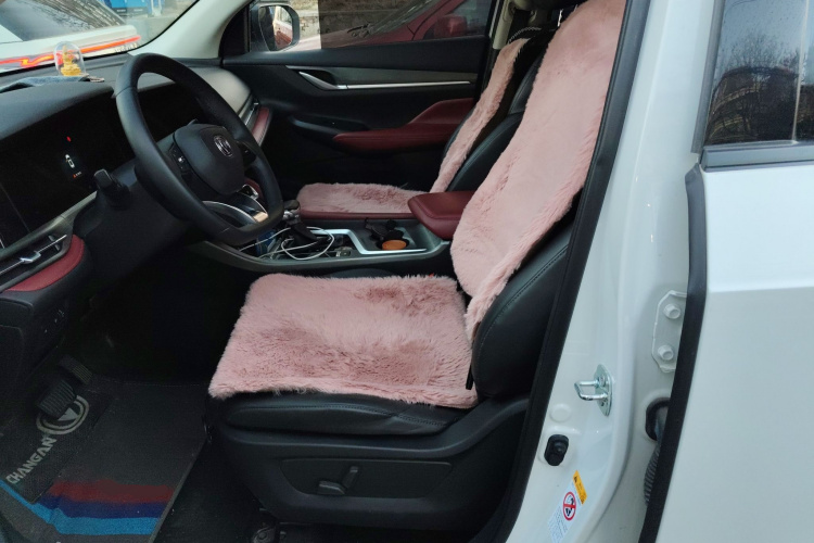 长安CS55PLUS 2021款 蓝鲸版 1.5T DCT豪华型中控内饰19