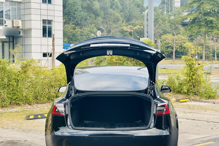 特斯拉 Model 3 2021款 标准续航后驱升级版 3D6局部细节23