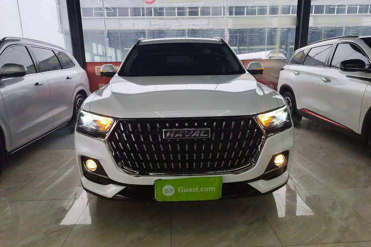 哈弗H6 2023款 国潮版 1.5T 自动冠军版车身外观2