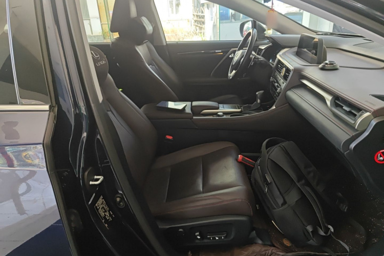 雷克萨斯RX 2020款 改款 300 四驱典雅版局部细节41