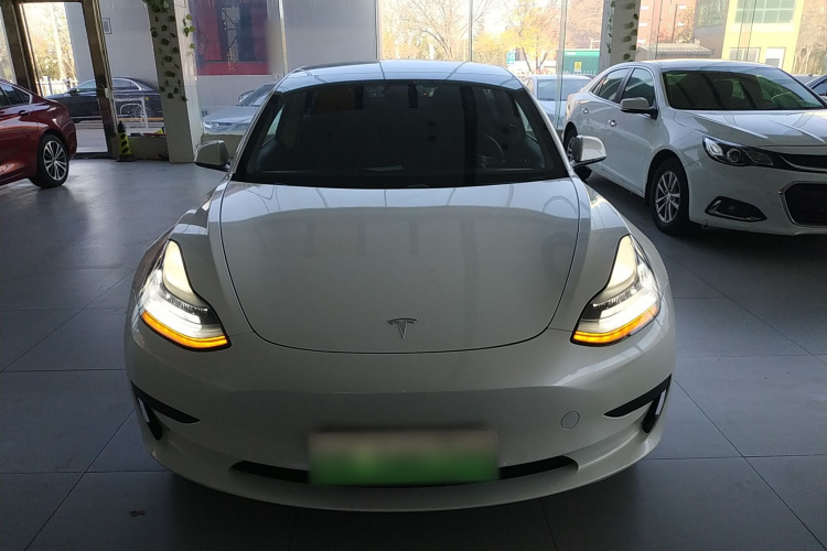 特斯拉 Model 3(进口) 2019款 标准续航后驱升级版(60度)车身外观6001