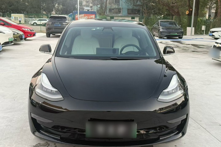 特斯拉 Model 3 2020款 改款 长续航后轮驱动版车身外观6006
