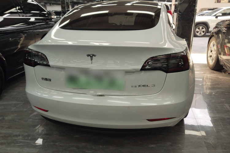 特斯拉 Model 3 2020款 长续航后轮驱动版车身外观6