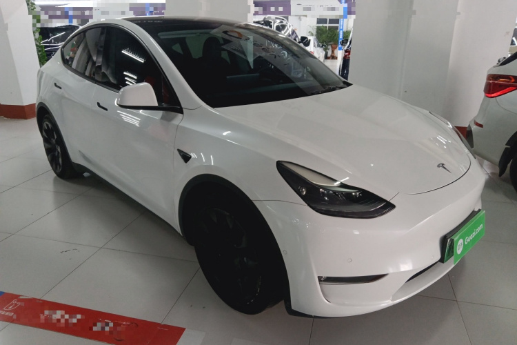 特斯拉 Model Y 2021款 长续航全轮驱动版车身外观6002