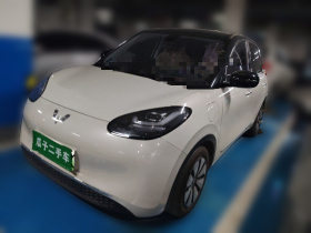 五菱汽车 五菱缤果 2023款 410km 灵犀尊享款