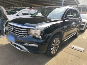 广汽传祺 传祺GS8 2017款 320T 两驱豪华智联版（七座）