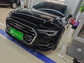 奥迪A6L 2023款 45 TFSI quattro 臻选致雅型