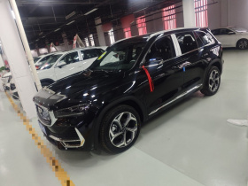 吉利汽车 星越L 2024款 2.0TD DCT EVO两驱长风版