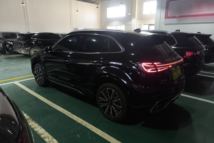 红旗HS5 2023款 2.0T 四驱旗享Pro版车身外观6003