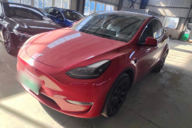 特斯拉 Model Y 2021款 长续航全轮驱动版