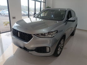 魏牌 VV6 2018款 2.0T 两驱旗舰型 国V