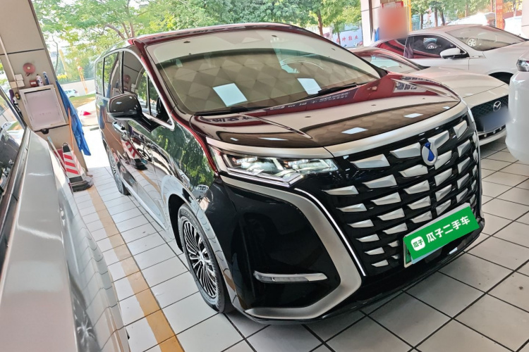 腾势D9 2024款 DM-i 980 四驱尊荣型车身外观3