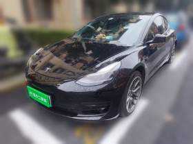 特斯拉 Model 3 2021款 标准续航后驱升级版