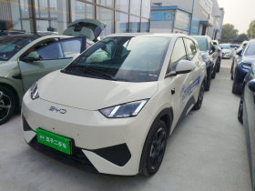 比亚迪 海鸥 2025款 智驾版 305km 自由版