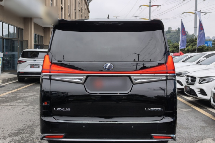 雷克萨斯LM 2020款 300h 七座隽雅版车身外观6004