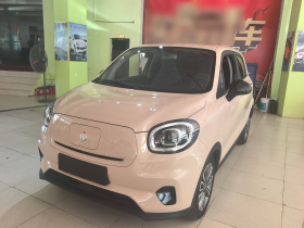 零跑汽车 零跑T03 2021款 400轻享版 三元锂