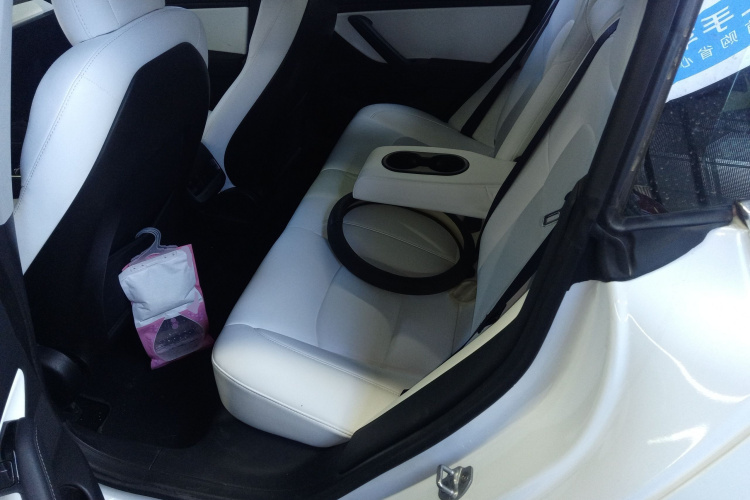 特斯拉 Model 3(进口) 2019款 Performance高性能全轮驱动版中控内饰21