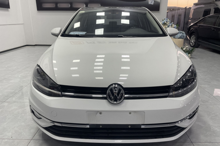 大众 高尔夫 2019款 280TSI DSG舒适型 国V车身外观6003