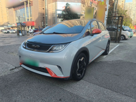 比亚迪 海豚 2021款 405km 时尚版