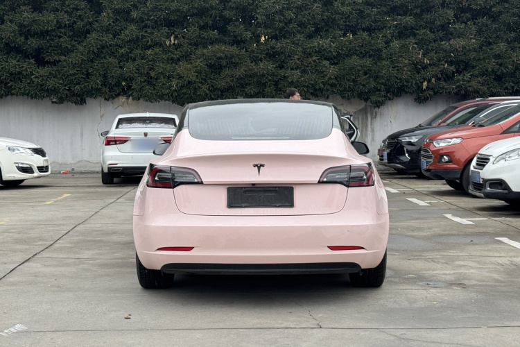 特斯拉 Model 3 2020款 标准续航后驱升级版车身外观6005