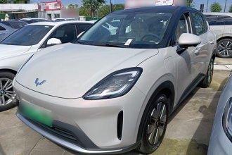 五菱汽车 缤果S 2025款 325km 尊享款