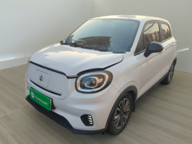 零跑汽车 零跑T03 2021款 400轻享版 三元锂