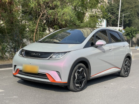 比亚迪 海豚 2021款 405km 时尚版