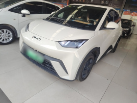 比亚迪 海鸥 2025款 305km 活力版