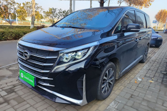 广汽传祺 传祺M8 2023款 领秀系列 390T 豪华版