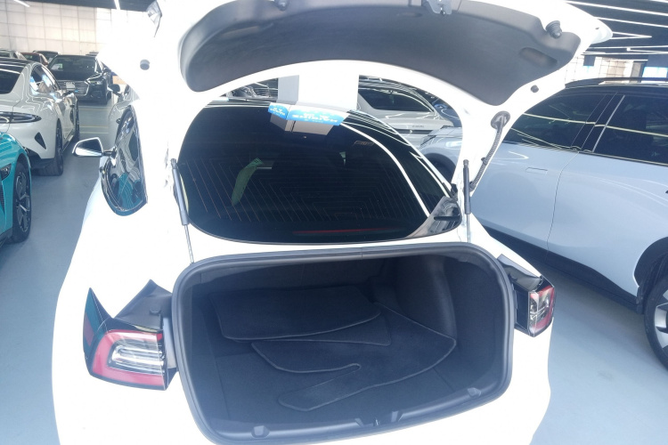 特斯拉 Model 3(进口) 2019款 长续航全轮驱动版局部细节23