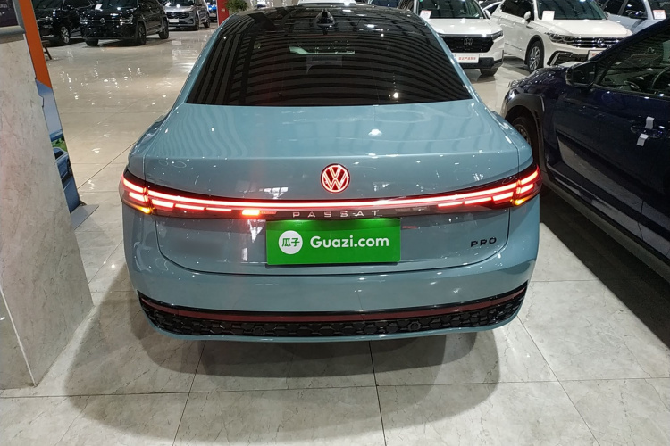 大众 帕萨特 2025款 Pro 380TSI 星空龙尊版车身外观6