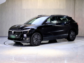 岚图汽车 岚图知音 2024款 四驱全球版