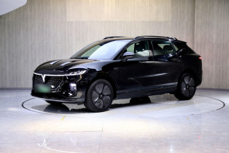 岚图汽车 岚图知音 2024款 四驱全球版