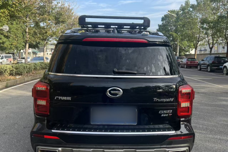 广汽传祺 传祺GS8 2020款 390T 两驱豪华智联版（七座）车身外观6003