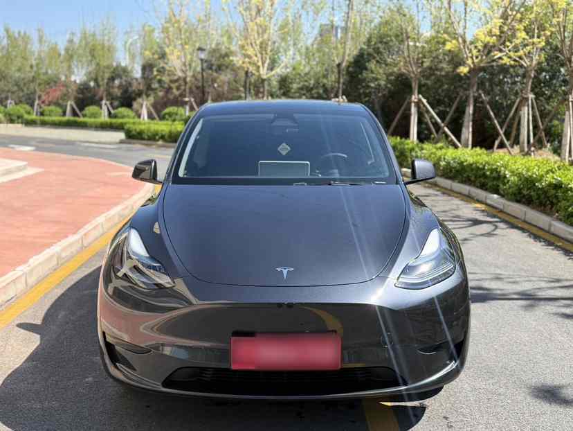 特斯拉 Model Y 2024款 后轮驱动版(4)