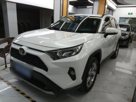 丰田 RAV4荣放 2020款 2.0L CVT两驱风尚版