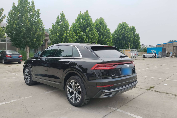 奥迪Q8 2022款 55 TFSI 豪华动感型车身外观6003