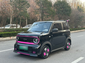 吉利银河 2025款 210km 熊猫卡丁