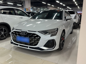 奥迪A3 2025款 A3L Limousine 35TFSI 飞驰尊享型