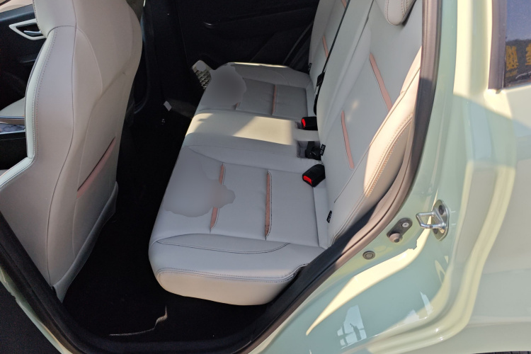 思皓 2022款 花仙子款 四叶草中控内饰21