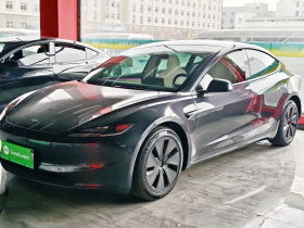 特斯拉 Model 3 2023款 长续航全轮驱动版