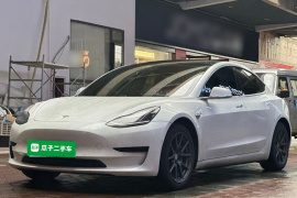 特斯拉 Model 3 2020款 标准续航后驱升级版