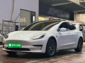 特斯拉 Model 3 2020款 标准续航后驱升级版