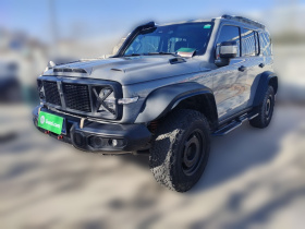 坦克300 2023款 2.0T 铁骑02