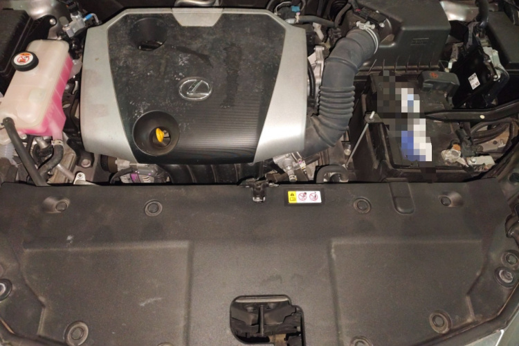 雷克萨斯NX 2020款 200 全驱 锋尚版 国VI局部细节24