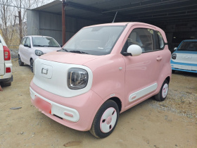 奔腾小马 2025款 222km 灵动马